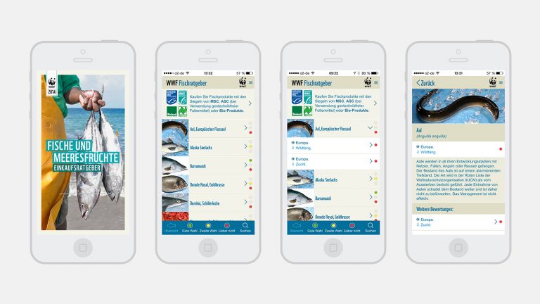 iPhone mit WWF Fischratgeber App