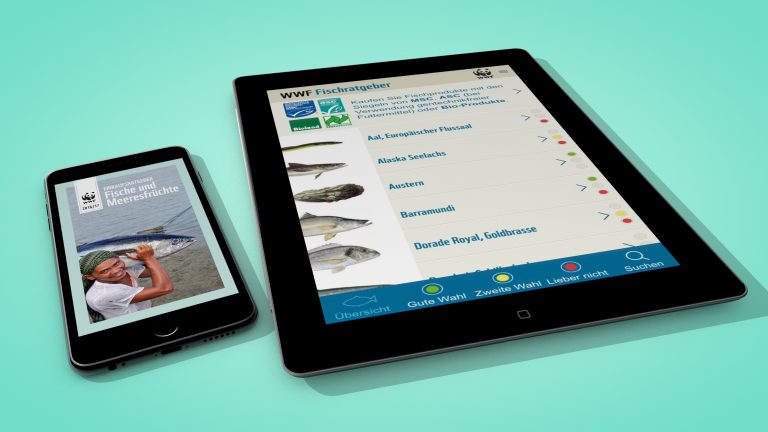Fischratgeber WWF App-Design