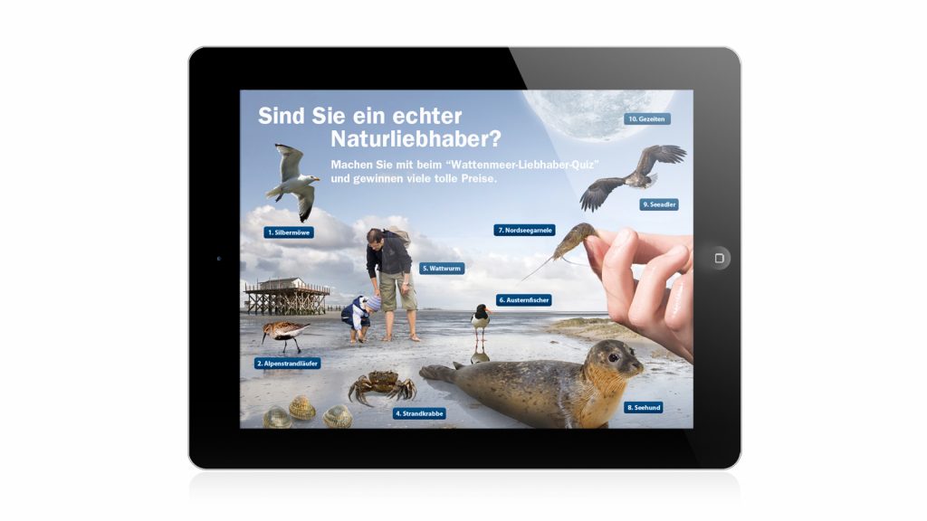 Nordsee-Tourismus-Werbung Webdesign und social Media