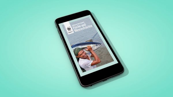 WWF-Fischratgeber-iPhone-App-Design-02-OC-Werbeagentur-Hamburg